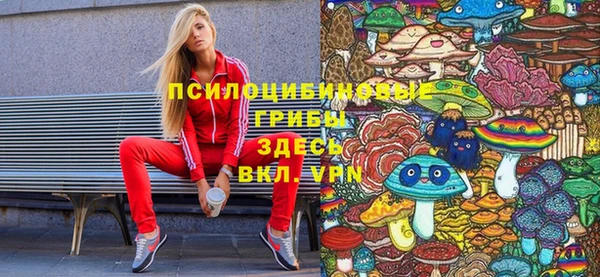гашик Михайлов