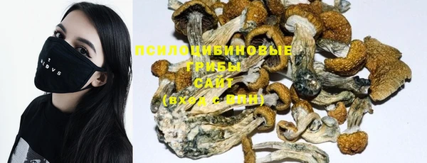 первитин Вуктыл
