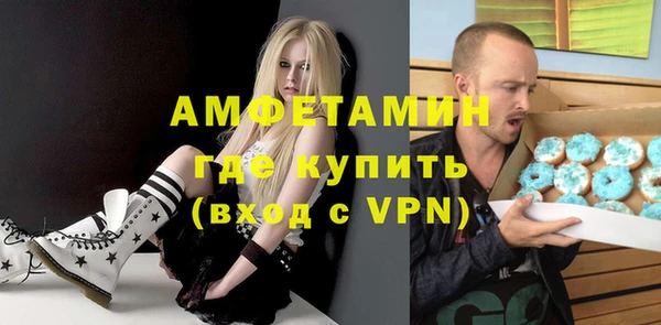 стафф Гатчина