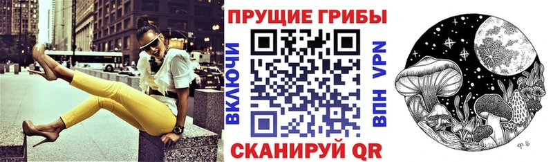 Галлюциногенные грибы мухоморы  сайты даркнета как зайти  Камызяк 