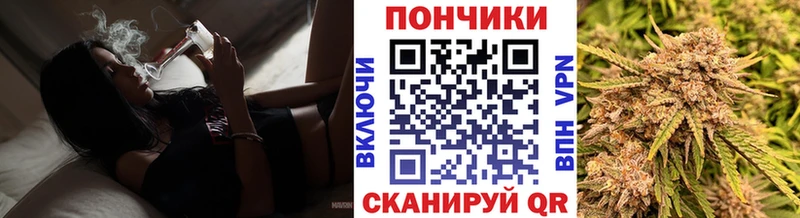 Бошки марихуана Amnesia  Камызяк 